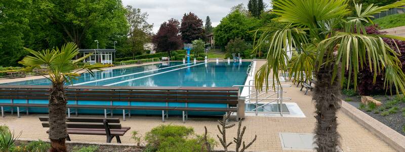50-Meter-Becken im Ebersbacher Waldhöhenfreibad mit Palmen im Vordergrund